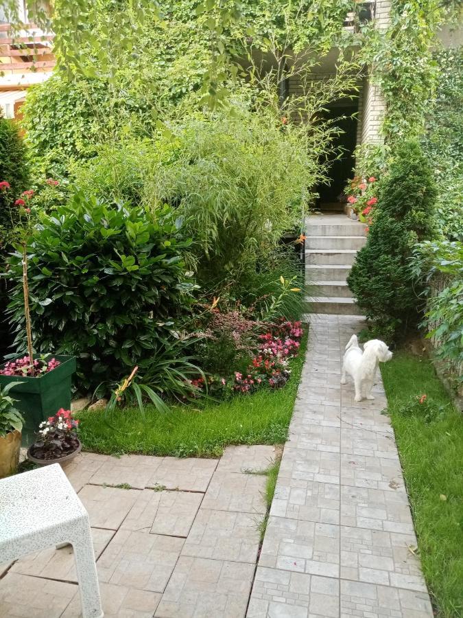 Dusica Apartmani Jagodina Exteriör bild